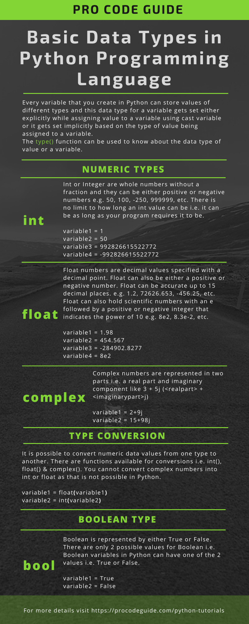 Basic Data Types in Python Programming Language - Infographic