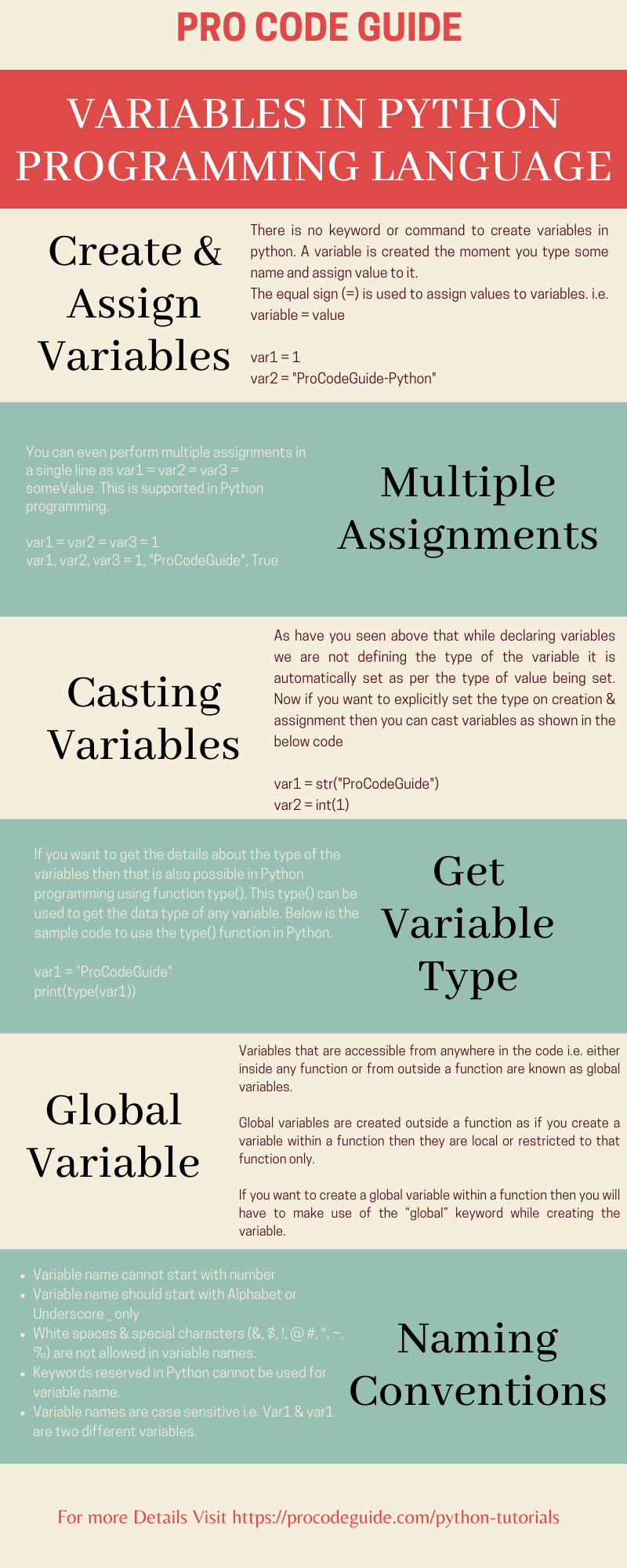 Variables in Python Programming - Infographic